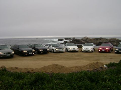 1991 Ford Taurus photo