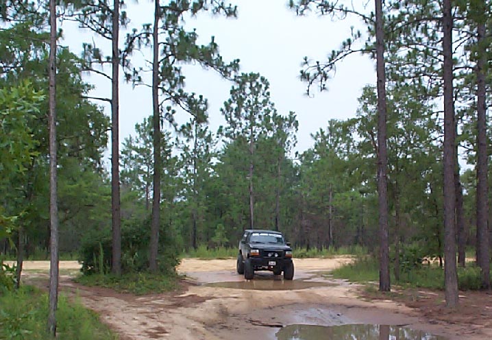 Blaze about to go through the big mud puddle, I missed the shot.