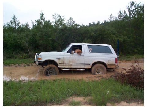 1992 Ford Bronco - Big mud puddle on the side of the road, I thought I could make it, but didn't have enough speed up, my dog is looking out the window saying…