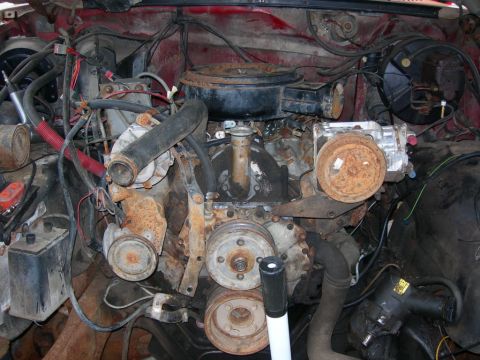 1984 Ford Bronco - Fits like a glove...after a few modifications.