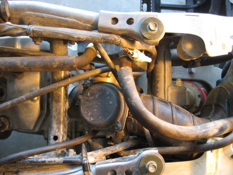 2004 Suzuki LTZ400 “Mo”