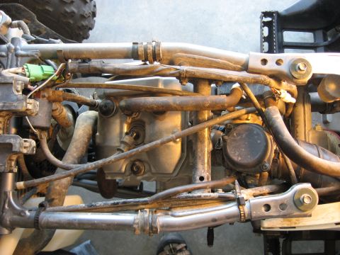 2004 Suzuki LTZ400 “Mo”