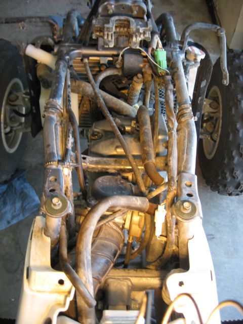 2004 Suzuki LTZ400 “Mo”