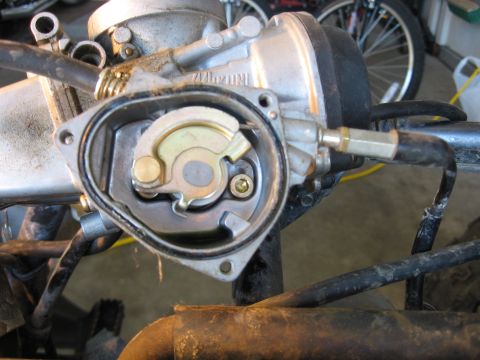 2004 Suzuki LTZ400 “Mo”