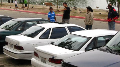 2003 Ford Taurus - Two white first-generation Ford Taurus sedans with tinted windows park nose-in beside a green Taurus and a black car at a lakeside meet, on…