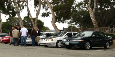 2003 Ford Taurus - Several Ford sedans including white and green cars lined up at a tree-shaded car meet.