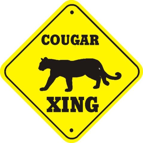 1991 Ford Bronco - A yellow diamond-shaped sign warns of a cougar crossing, a black silhouette of the animal.