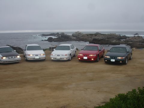 1990 Ford Taurus - A line of Ford Taurus sedans are parked near the rocky coast under an overcast sky.