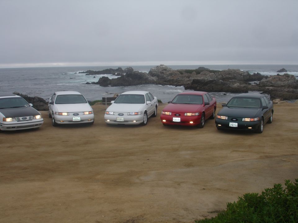 Five Ford Taurus sedans parked on a dirt lot overlooking the ocean. Two white, one red, one dark green, and one white with a black hood