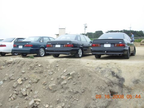 1995 Ford Taurus - Multiple sedans parked on a dirt lot, showing their rear profiles. The date 08.16.2008 is visible in the lower right corner.