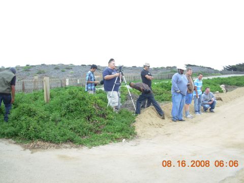1995 Ford Taurus - People gathered outdoors, with one person operating a camera on a tripod.