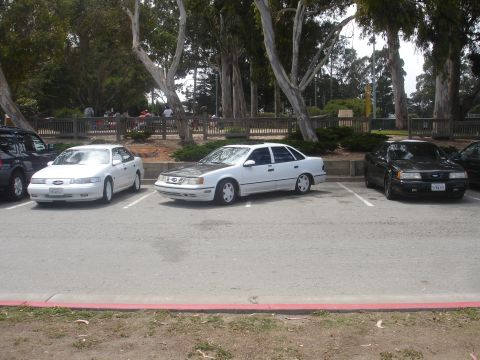 1990 Ford Taurus - Three sedans are parked in a lot with trees and a wooden fence in the background.