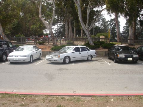 1990 Ford Taurus - Three Ford Taurus sedans are parked side-by-side in a parking lot with trees in the background.