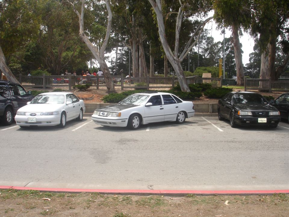 Three Ford Taurus sedans parked in a lot. The middle car has a gray hood