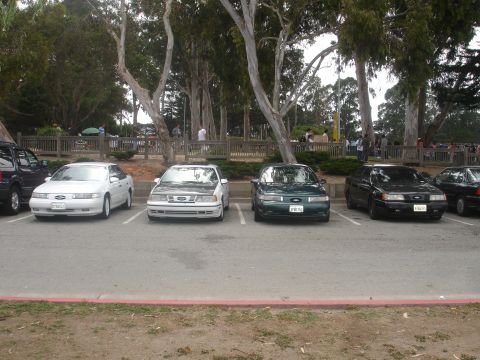 1990 Ford Taurus - Multiple Ford Tauruses are parked in a lot with trees and a wooden fence in the background.