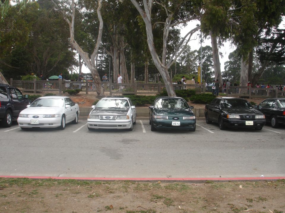 Four Ford Tauruses parked in a lot, three in the foreground. The leftmost is white, the middle is white with a black hood, and the rightmost is dark green. The fourth car is black