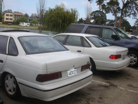 1990 Ford Taurus - A white 1990 Ford Taurus SHO is parked next to another white sedan and a dark SUV.