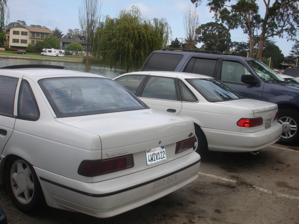 White 1990 Ford Taurus SHO rear view with SHO badging