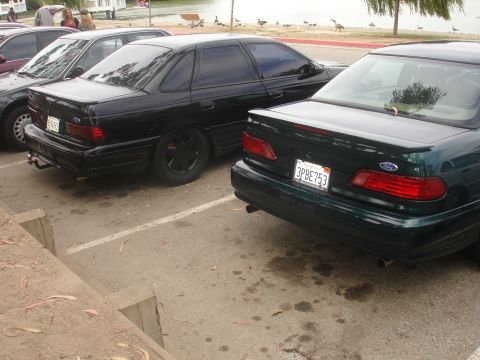 1990 Ford Taurus - Two Ford Taurus sedans, one black and one dark green, are parked next to each other.