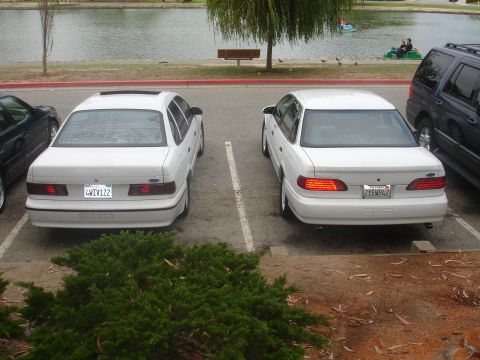 1990 Ford Taurus - Two white sedans are parked side-by-side near a lake, with a dark SUV to the right.