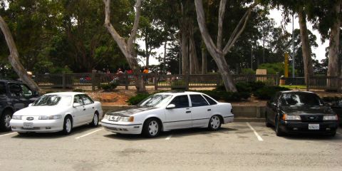 2003 Ford Taurus - Three sedans are parked in a lot with trees and a wooden fence in the background. A white Ford Taurus is in the foreground, flanked by a da…