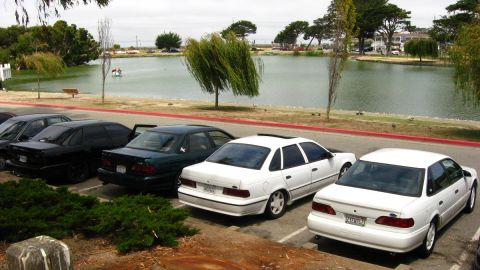 2003 Ford Taurus - A line of sedans is parked in front of a lake with trees and buildings in the background. The vehicles include two white Ford Taurus models…