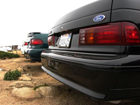 2003 Ford Taurus - Low-angle close-up of the rear of a black Ford Taurus SHO, showing the SHO bumper badge, red-and-amber taillight, Ford oval and California…