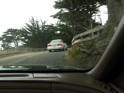 2003 Ford Taurus - Windshield view of a white first-generation Ford Taurus SHO sedan with brake lights on, running ahead on a two-lane road curving past a woo…