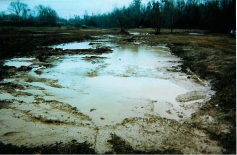 1982 Ford Bronco - The hole i got stuck in at Shiloh that ruined the engine