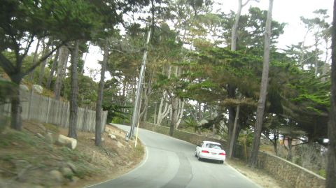 2003 Ford Taurus - A white sedan pulled onto the shoulder of a narrow winding road lined by cypress and pine trees, with a stone retaining wall on the right a…