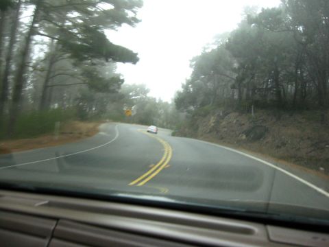 2003 Ford Taurus - Driver's-eye view through a windshield on a foggy two-lane road curving through pines, with double yellow center lines and a rock cut on th…