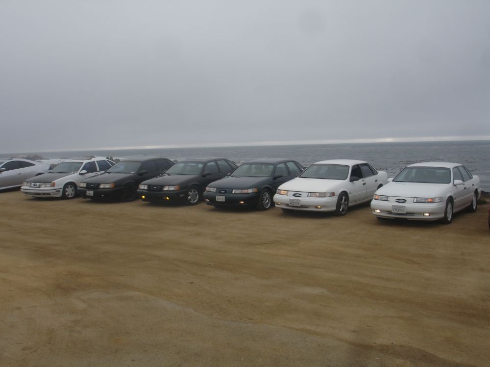 Several Ford Taurus sedans parked in a line by the ocean.