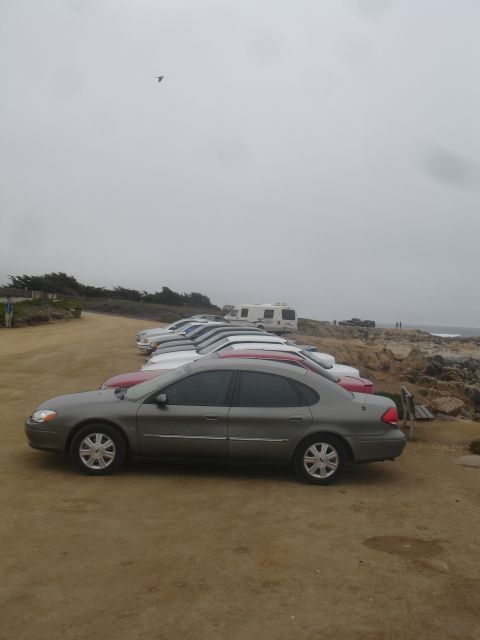 1990 Ford Taurus