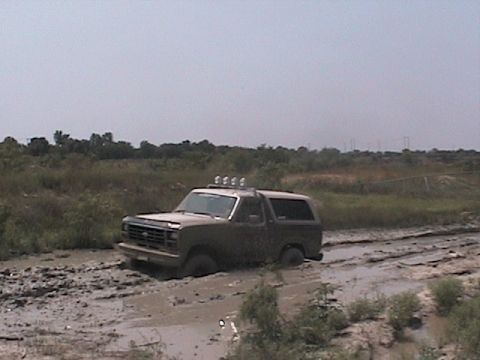 1982 Ford Bronco - Still stuck