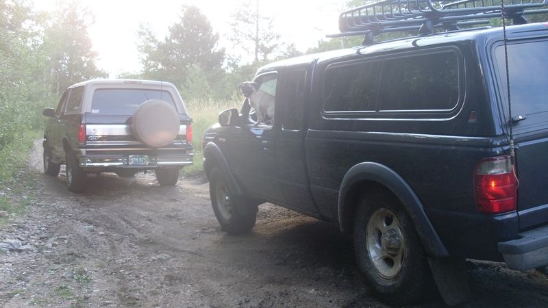 Dark pickup truck with camper shell and dog in window, followed by dark SUV on dirt road.