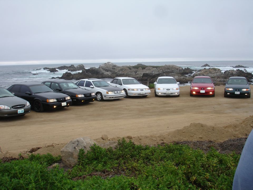 Seven Ford Taurus sedans parked on a dirt lot by the ocean.