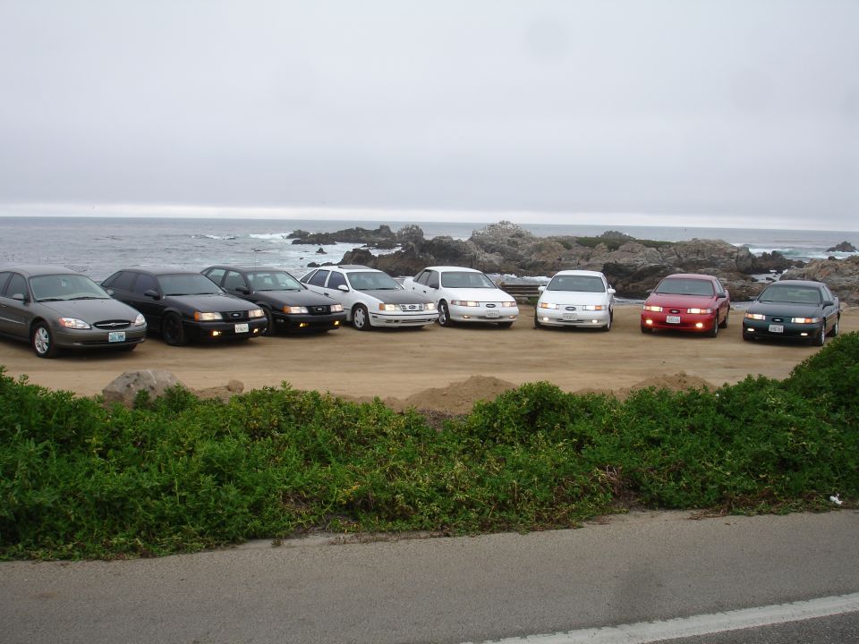 Eight Ford Taurus sedans parked in a row facing the ocean.