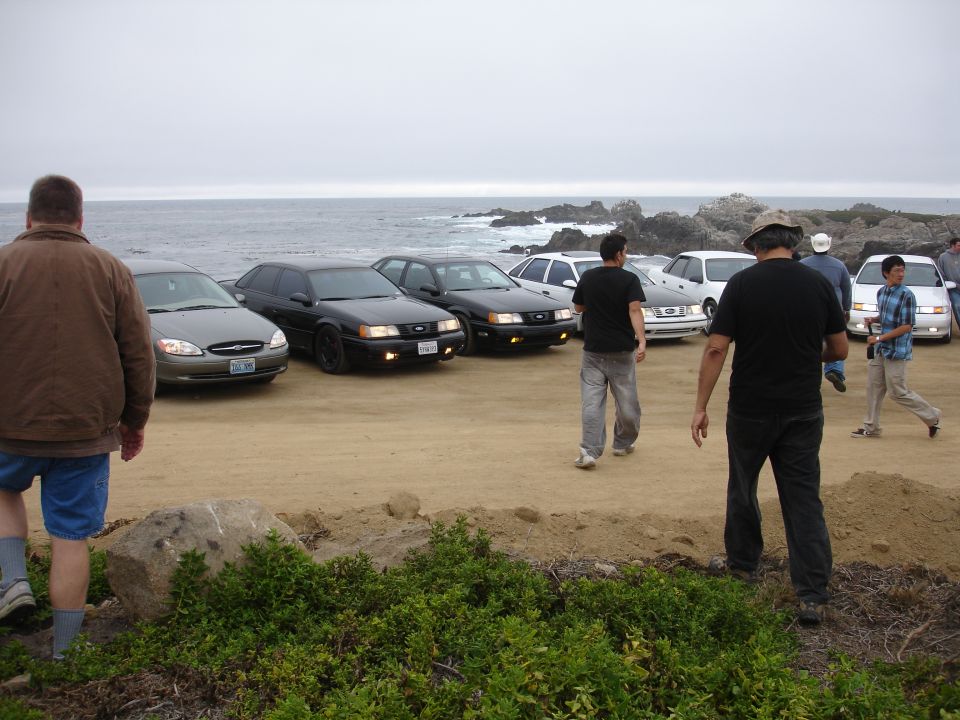 Several Ford Taurus sedans parked on a dirt lot by the ocean with people around.