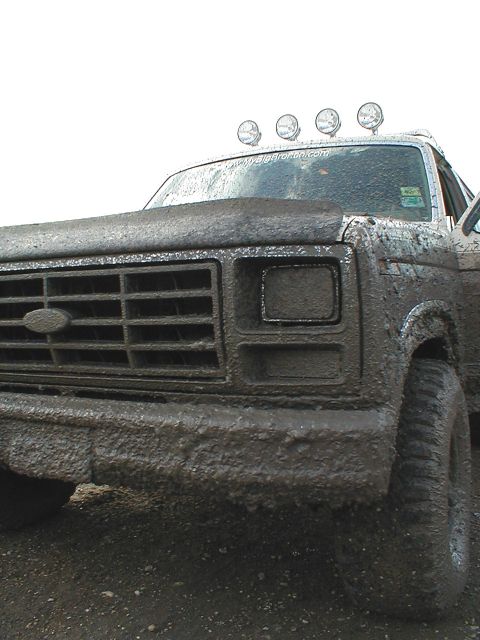 1982 Ford Bronco - Cool picture