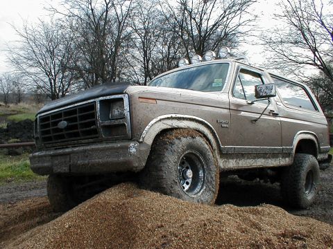 1982 Ford Bronco - A little STOCK flex