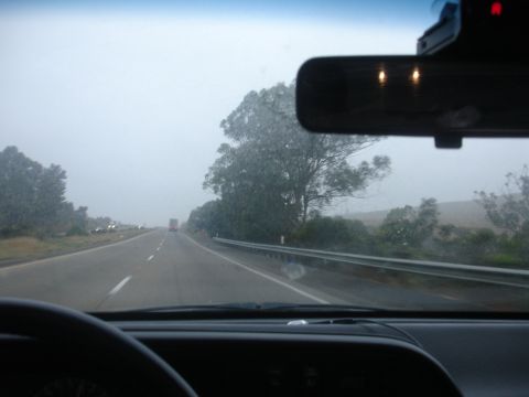1990 Ford Taurus - Driving down a highway on an overcast day with trees lining the road.