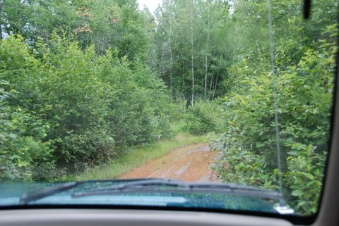 1996 Ford Bronco - Photograph taken through a vehicle windshield showing a muddy two-track forest trail.