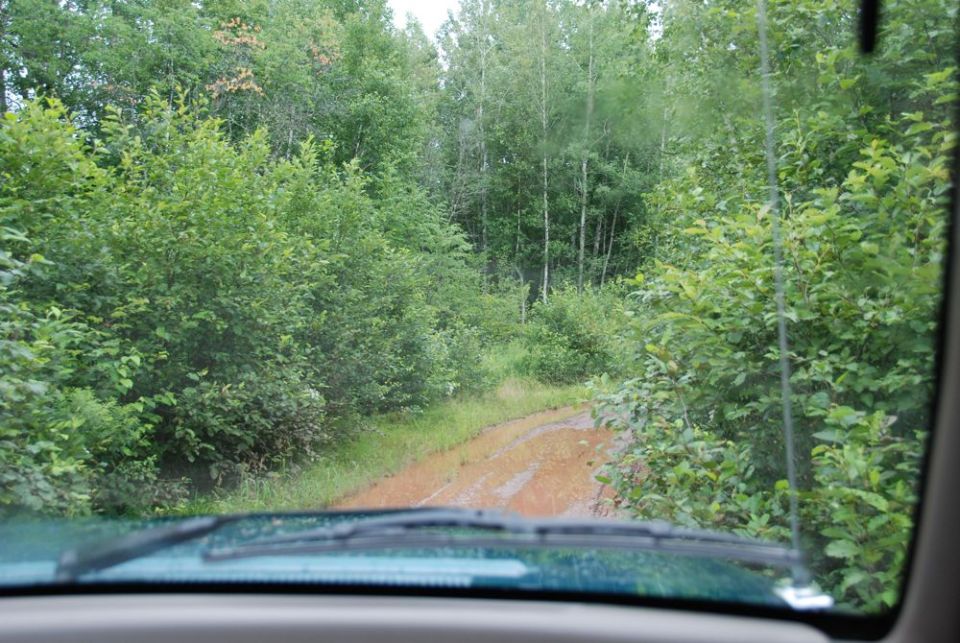 View through a windshield of a muddy forest trail