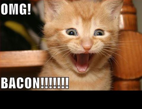 1988 Mercury Grand Marquis - A close-up shot of an orange kitten with its mouth wide open, appearing to be very excited. Text overlays read "OMG!" and "BACON!!!!!!!".