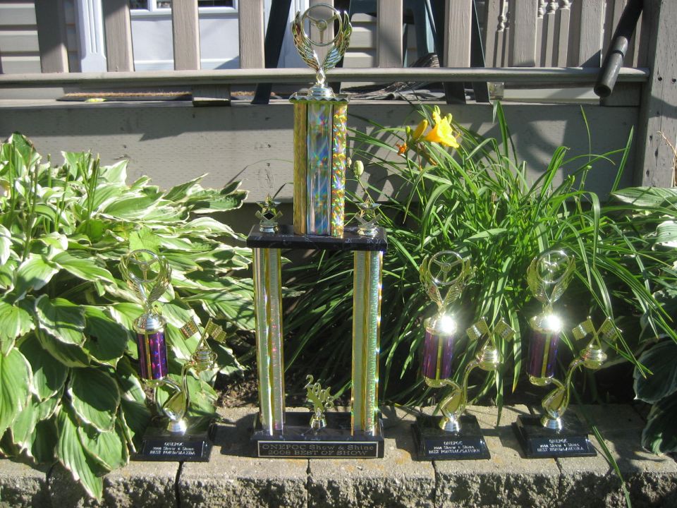 Collection of trophies on a stone ledge with plants in the background.
