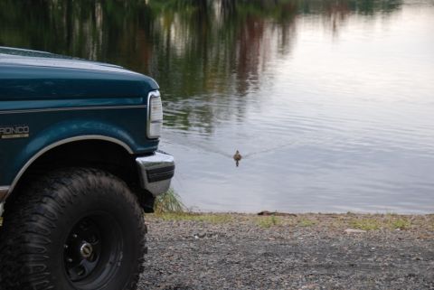 1996 Ford Bronco - Photograph of the front corner of a green Ford Bronco at a lakeshore with a swimming duck.