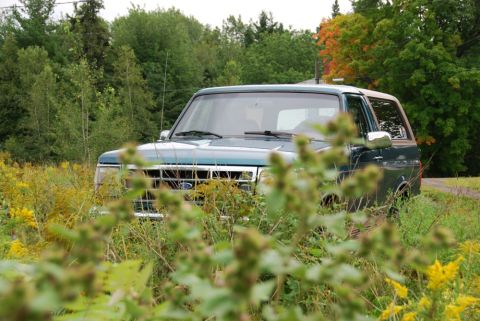1996 Ford Bronco - Photograph of a green Ford Bronco viewed through tall roadside weeds and wildflowers.