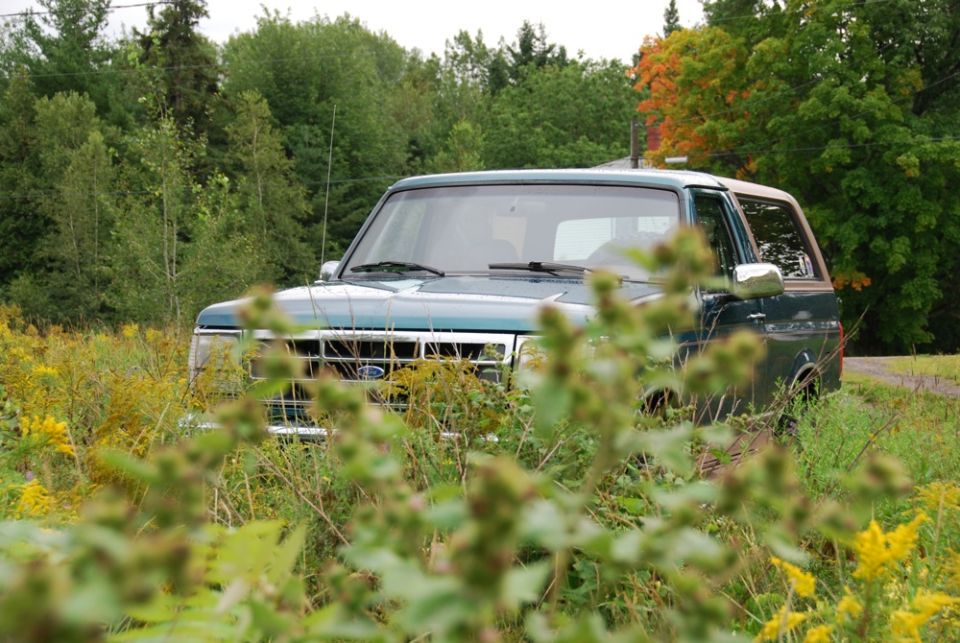 Green Ford Bronco partly hidden behind tall weeds near a road