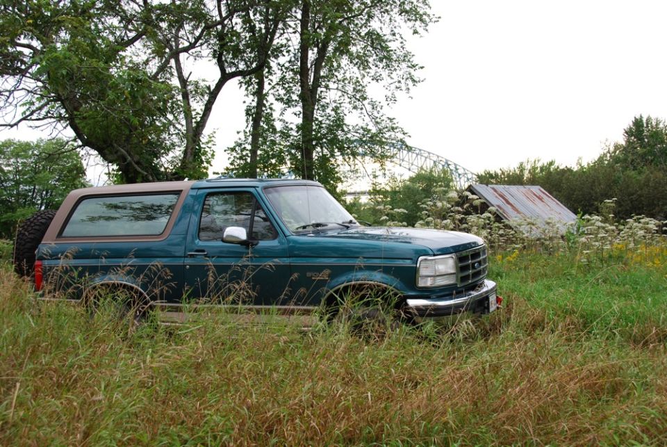 Teal Ford Bronco parked in tall grass near trees
