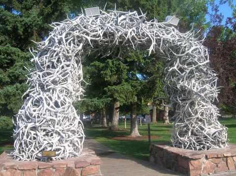 1996 Ford Bronco - A large archway made of antlers stands in a park setting with trees in the background.